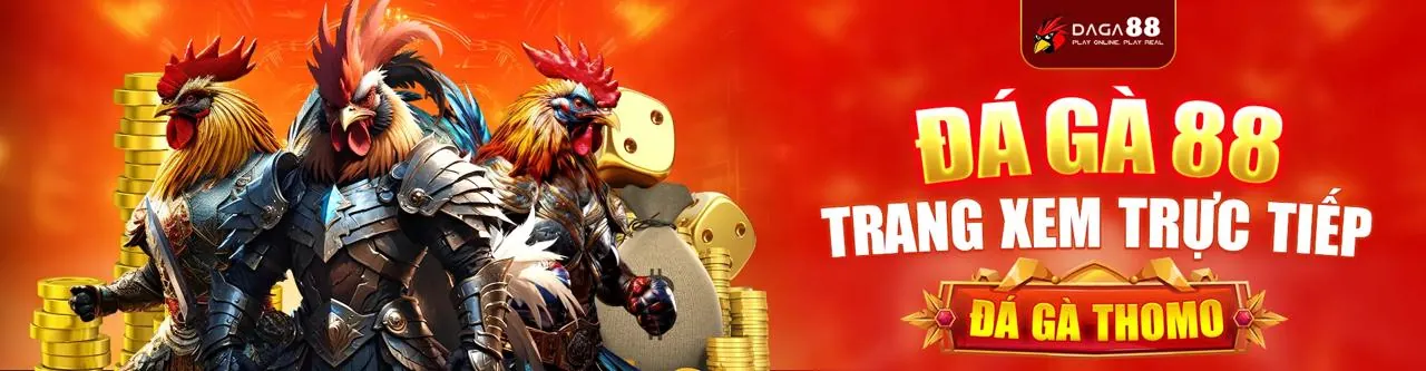 Đá Gà Trực Tuyến Hấp Dẫn tại nn888